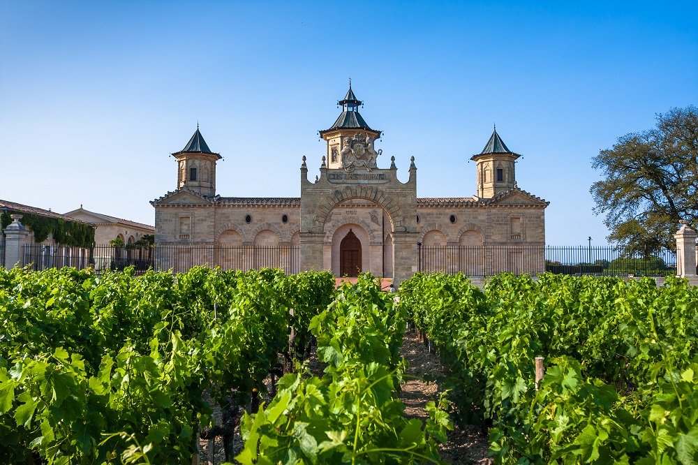 bordeaux vineyards