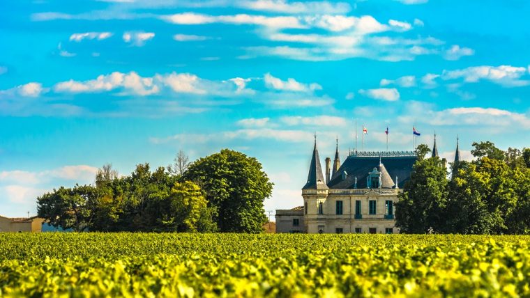 France Vineyards
