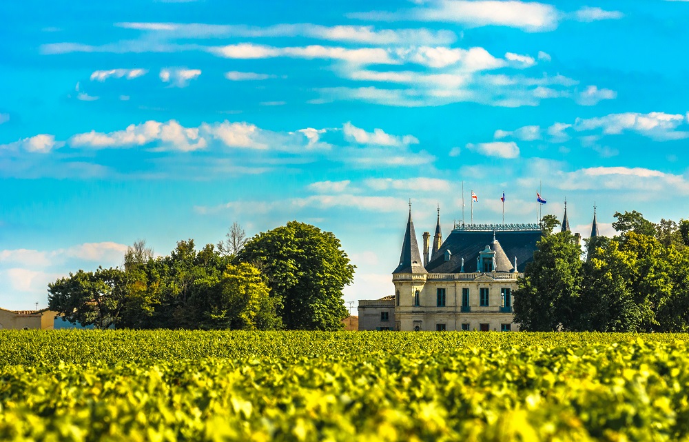 France Vineyards