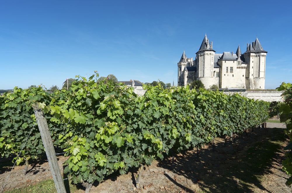 loire-valley-vineyards