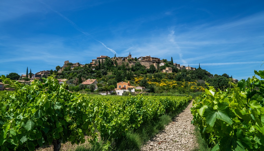 rhone valley vineyards