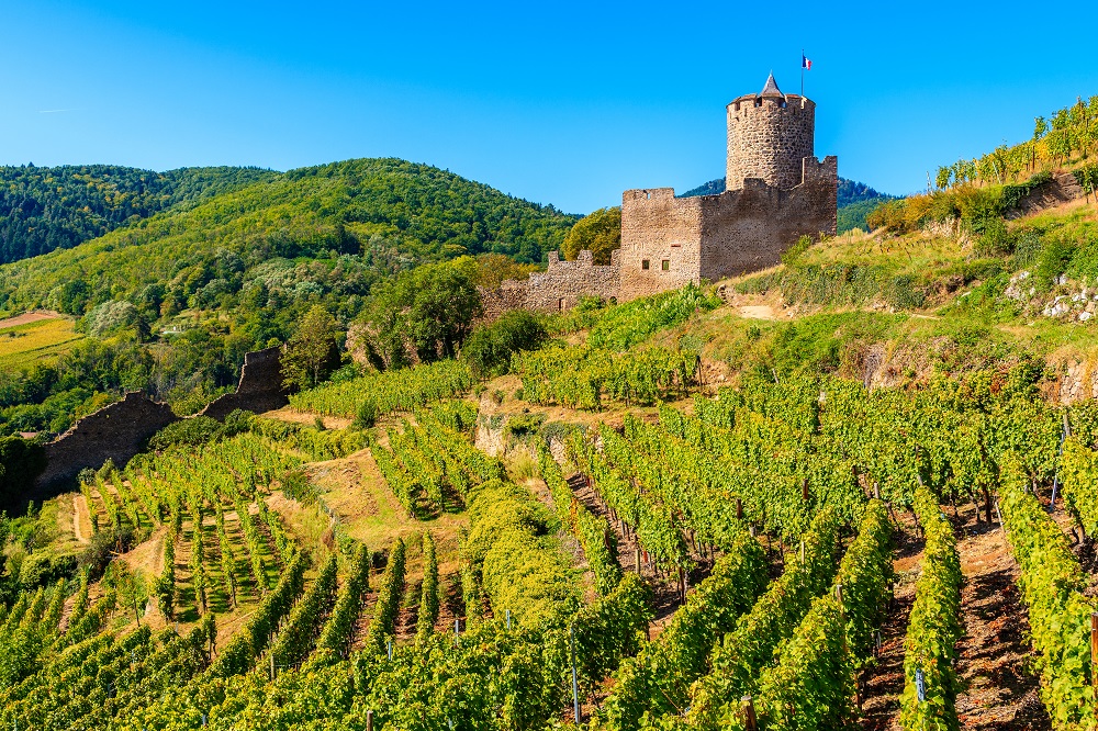 scenic-vineyards-of-alsace