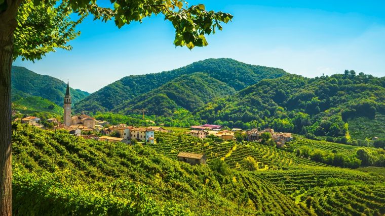 prosecco vineyards