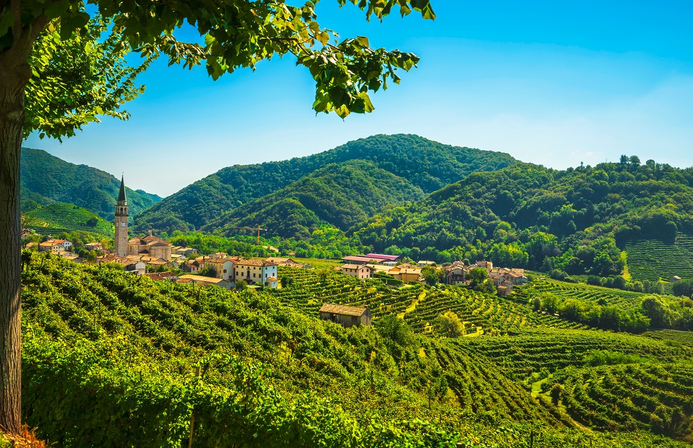 prosecco vineyards