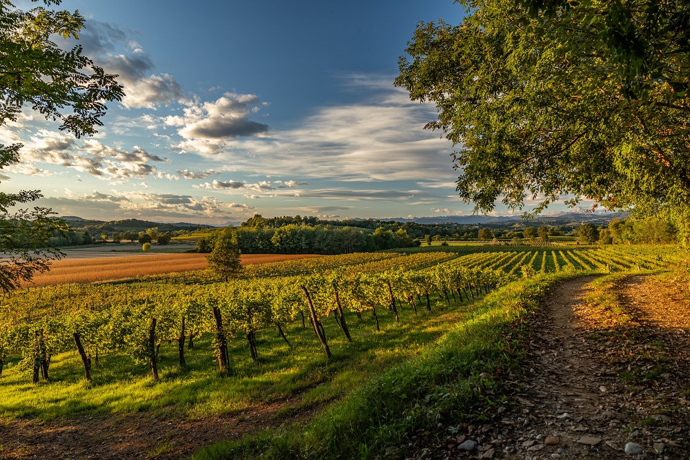 beautiful Friuli Venezia Giulia 