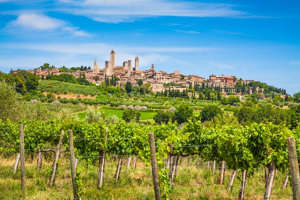 san-gimignano-vineyards