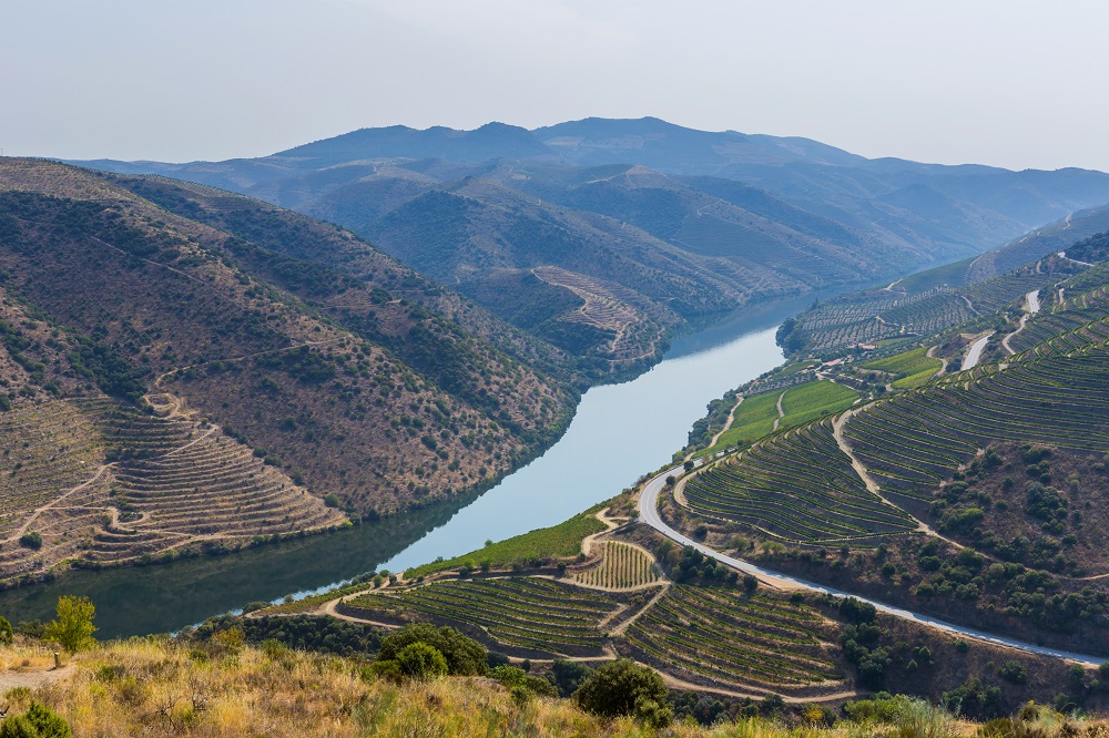  autumn-in-douro-valley