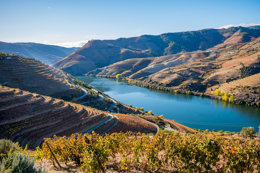 Douro Valley