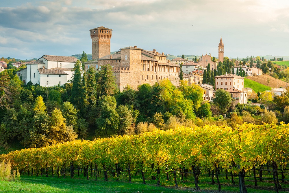 Emilia Romagna Vineyards