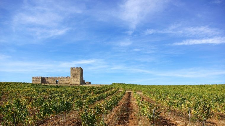 Vineyards of Alentejo