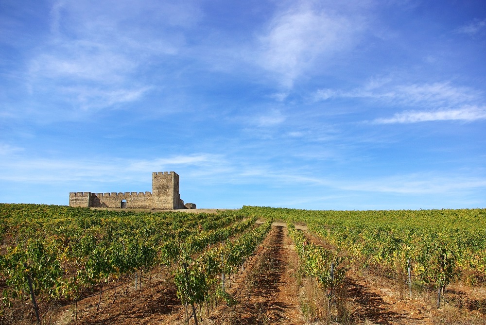 Vineyards of Alentejo