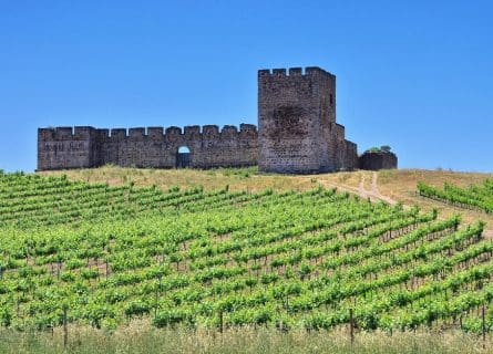 Discover the Finest Wineries: Top 10 Must-Visit Gems in Alentejo Wine Region