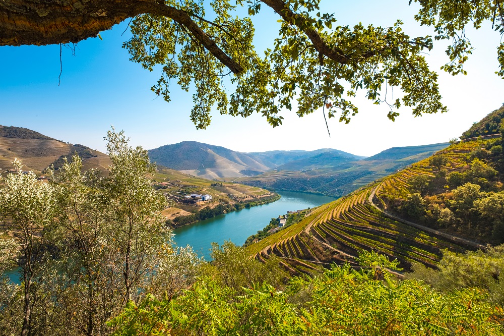 douro valley