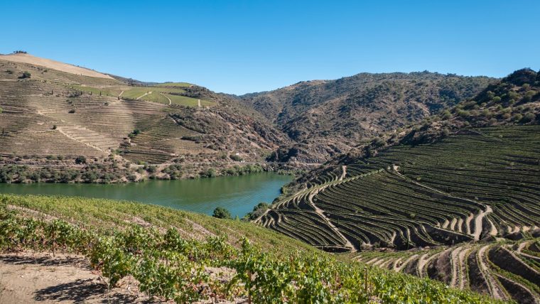 Trás-os-Montes