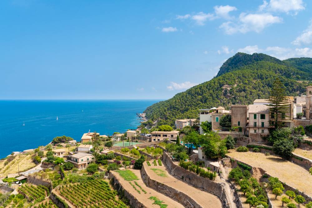 Mallorca Vineyards Mallorca Vineyards