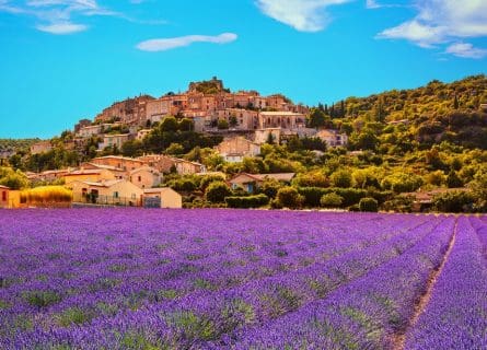 Provencal Cuisine: A Gastronomic El Dorado