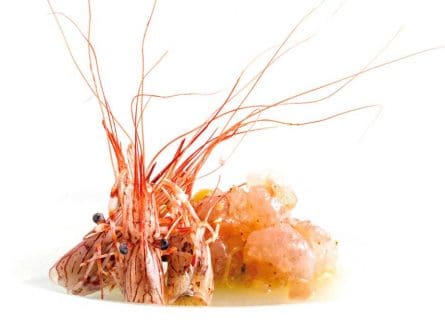 Elkano Restaurant: A Masterpiece of Seafood Innovation