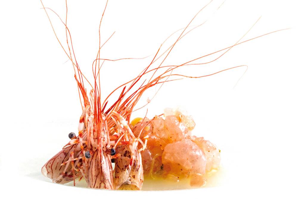 Elkano Restaurant: A Masterpiece of Seafood Innovation Elkano Restaurant: A Masterpiece of Seafood Innovation