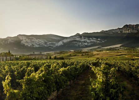 Uncork Adventure: A Guide to La Rioja Wine Tasting & Experiences