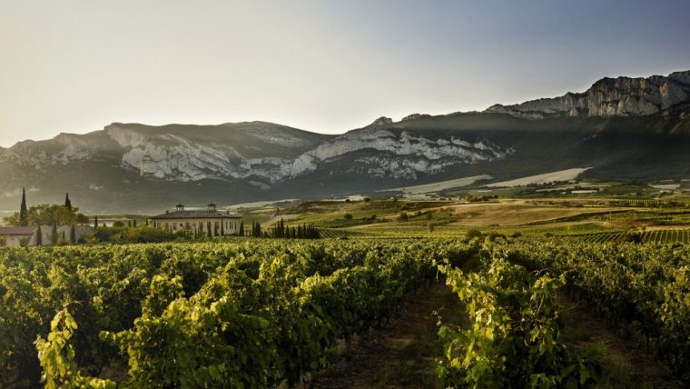 La Rioja Wine Tasting Guide