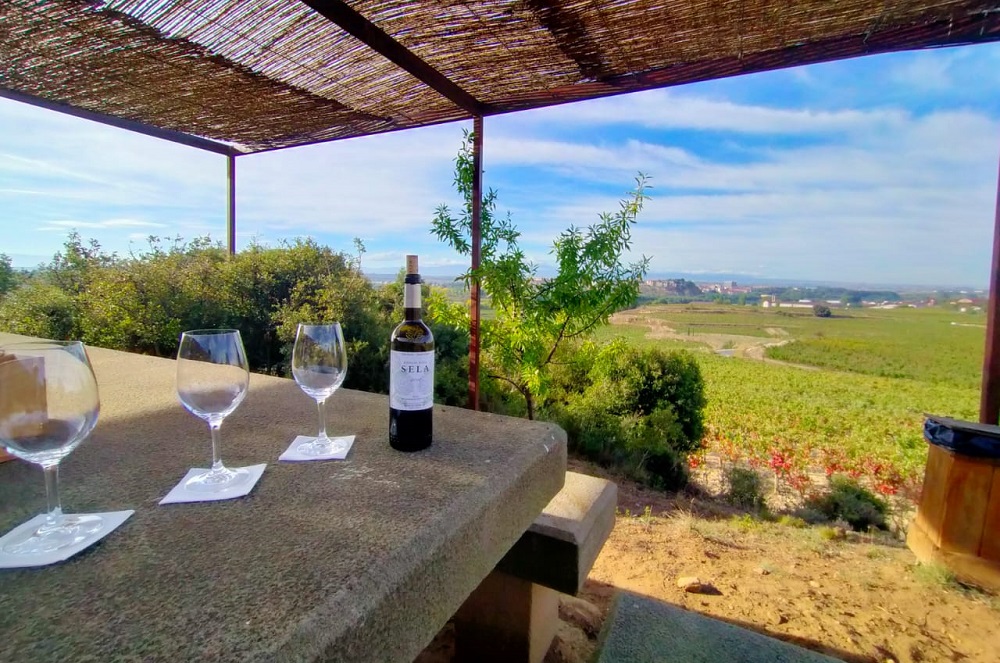 Views over the vineyards at Roda