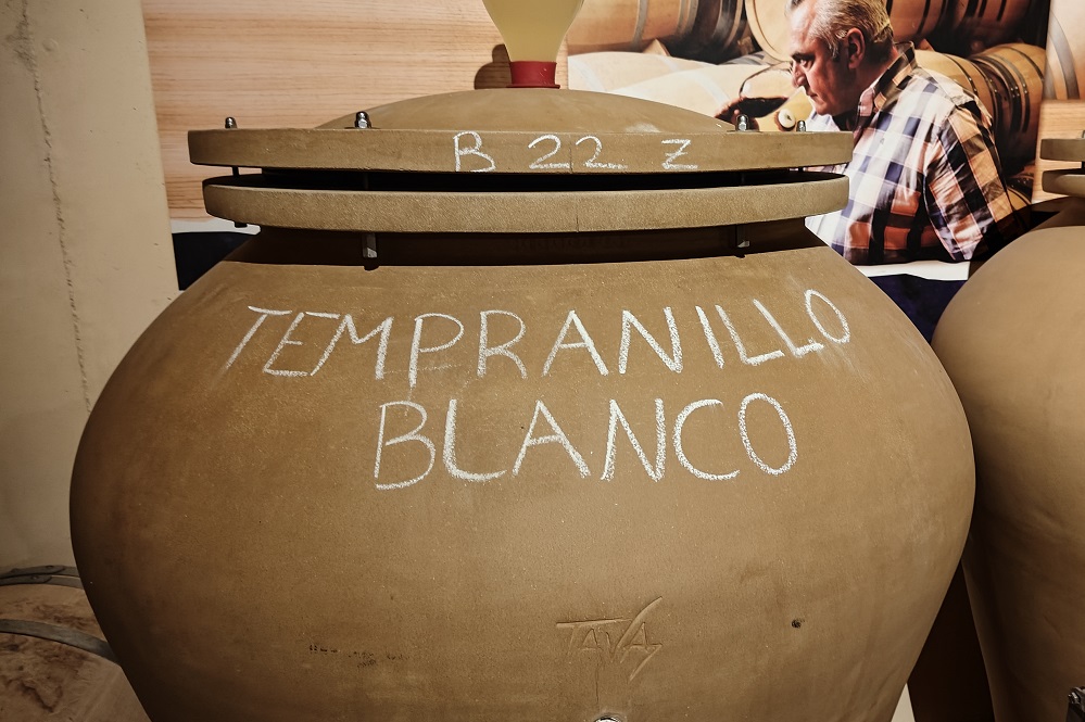 Tempranillo Blanco Grape