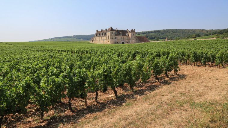 Burgundy Wine Classifications