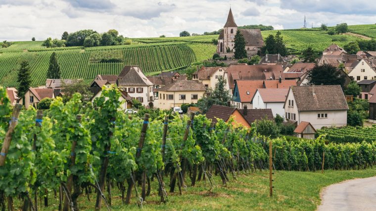 Alsace Wine Classification: AOC, Grand Cru, and Crémant Explained
