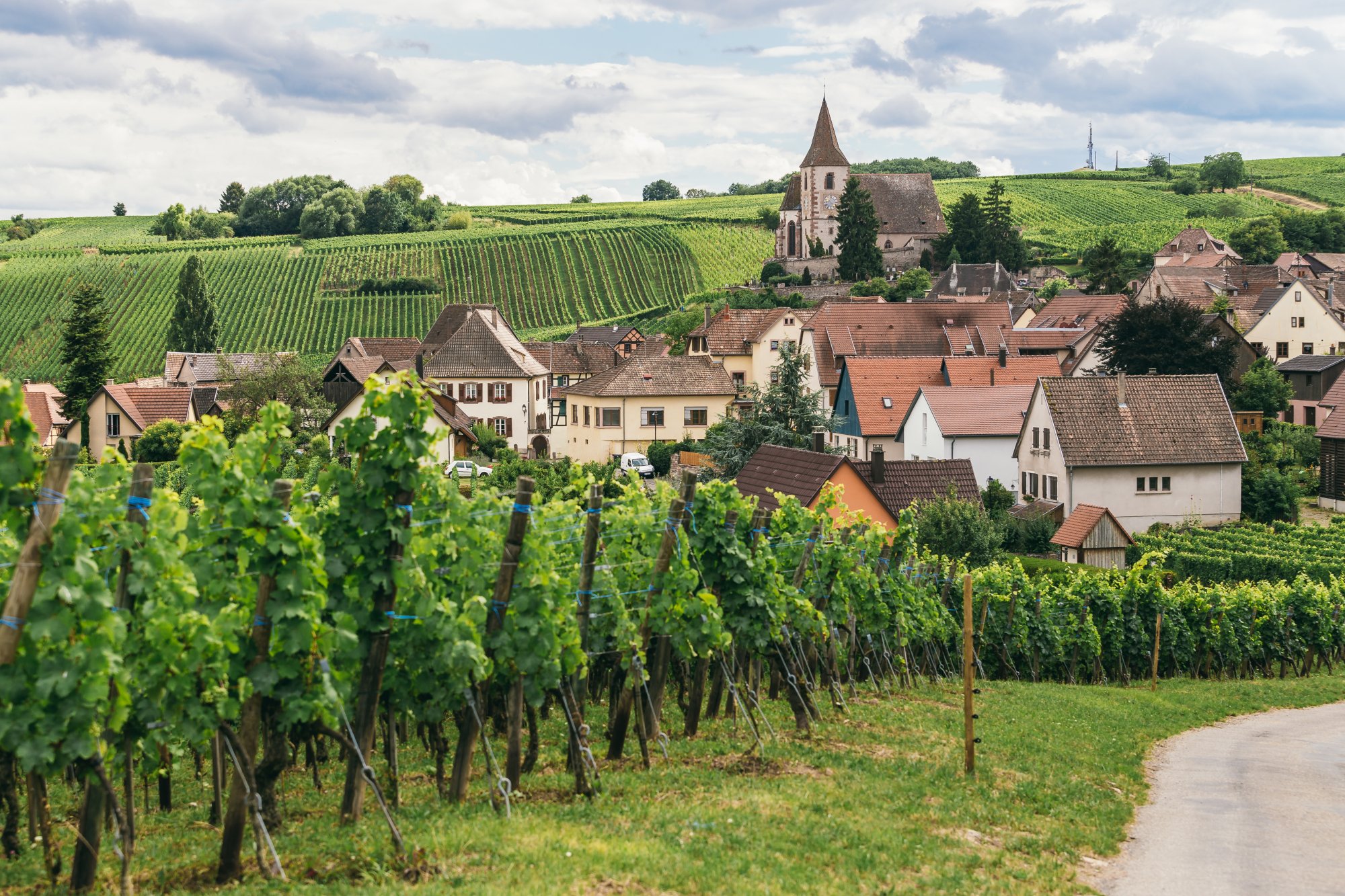 Exploring the Enchanting Vineyards of Alsace: A Tourist's Guide - Introduction