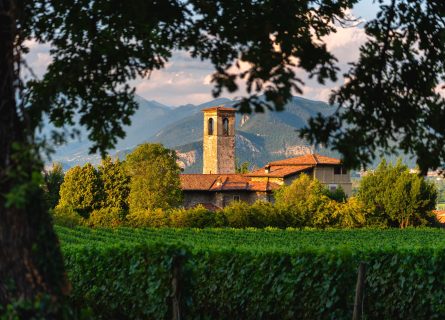 Franciacorta Uncorked: Italy’s Premium Sparkling Wine
