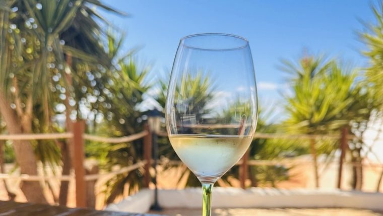 algarve-wine-experience