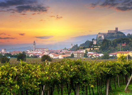 The Soave Renaissance: Veneto’s White Wine Revival