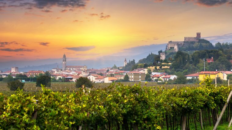 soave-vineyards-near-verona