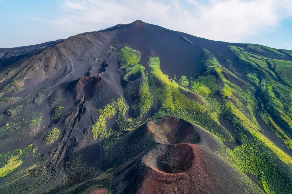 Ginestra colonising Etna’s lava flows, preparing the ground for future vineyards