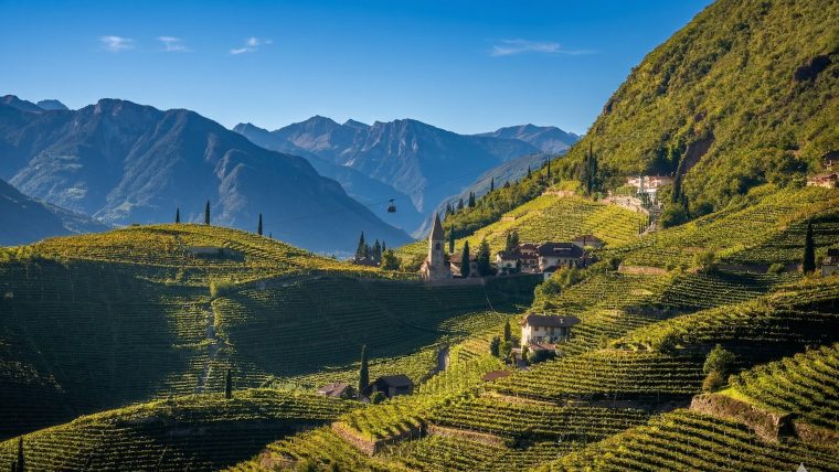 alpine-wines-of-trentino