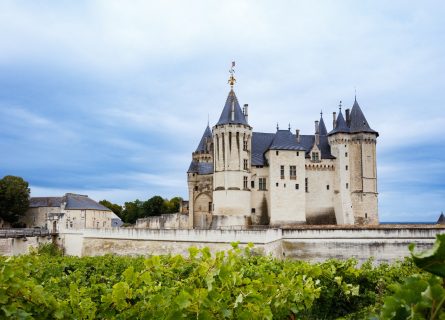 Chenin Blanc in the Loire: Anjou, Saumur, and the Rise of Terroir-Driven Whites