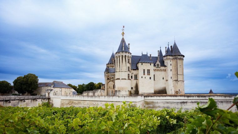 Chenin Blanc in the Loire: Anjou, Saumur, and the Rise of Terroir-Driven Whites