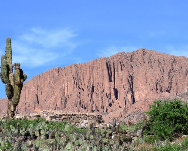 Jujuy Wine Region Guide