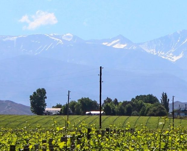 Luján de Cuyo Wine Region Guide
