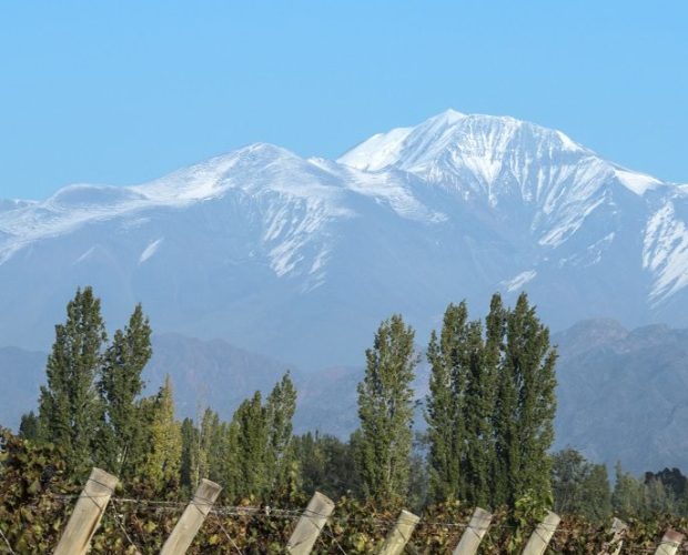 Maipu Wine Region Guide