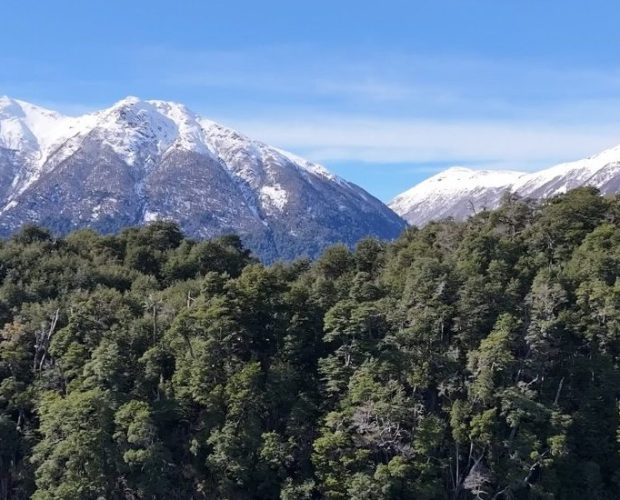 Neuquén Wine Region Guide