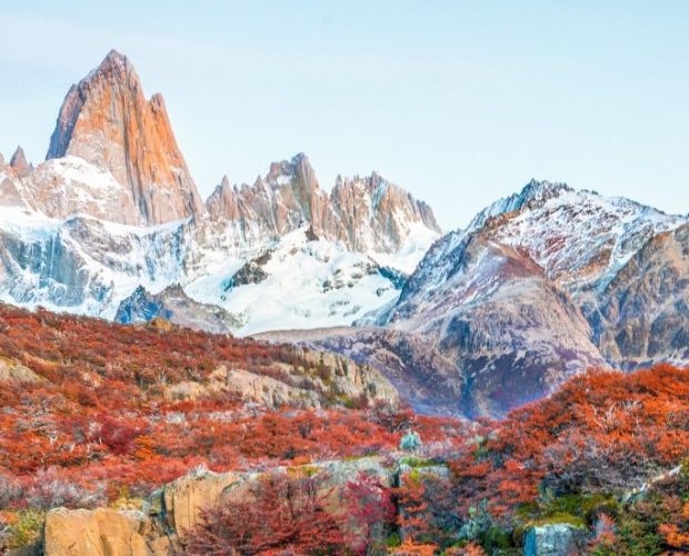 Patagonia Wine Region Guide