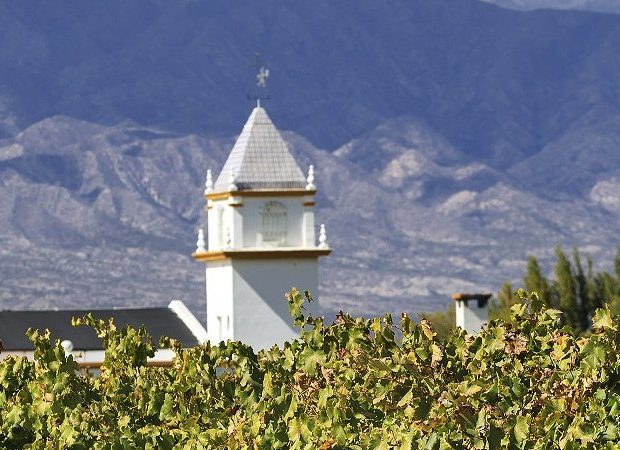 Salta Wine Region Guide