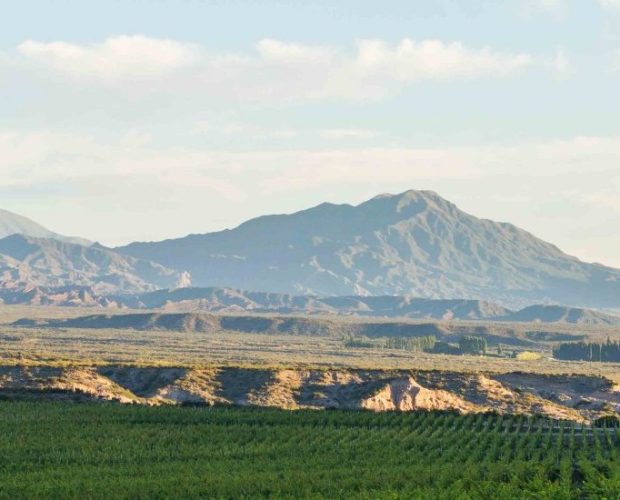 San Juan Wine Region Guide