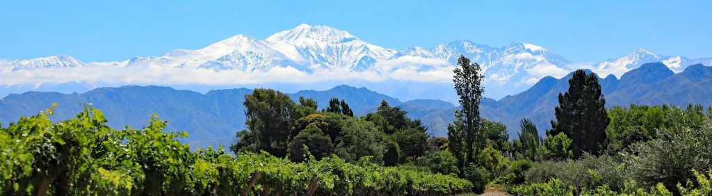 argentina-wine-tours