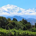 Argentina Wine Tour