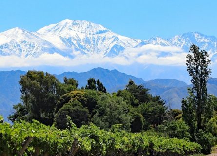 argentina-wine-tours
