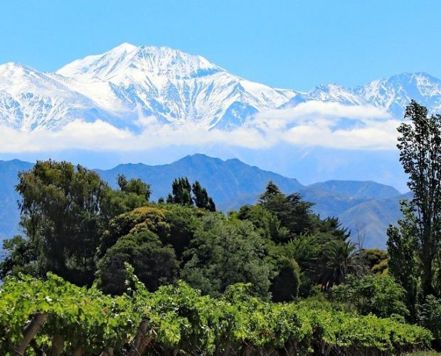 Private Wine Tours in Argentina