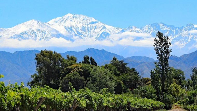 argentina-wine-tours