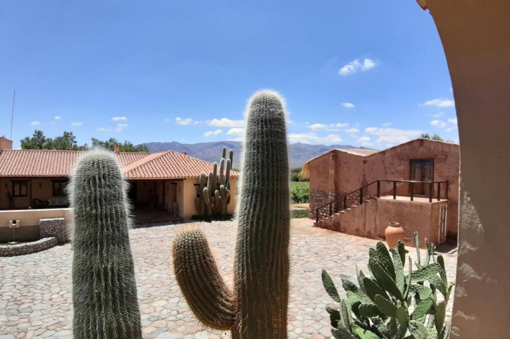 Estancia Colomé